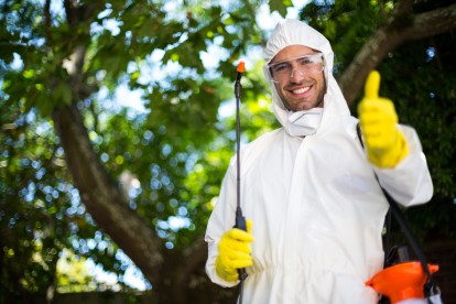 Pest Control in Forest Hill, SE23. Call Now 020 8166 9746